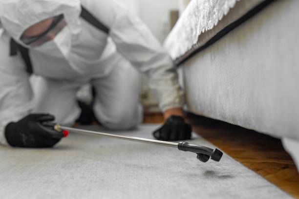 Professional Ant Control technician working in Gervais, OR