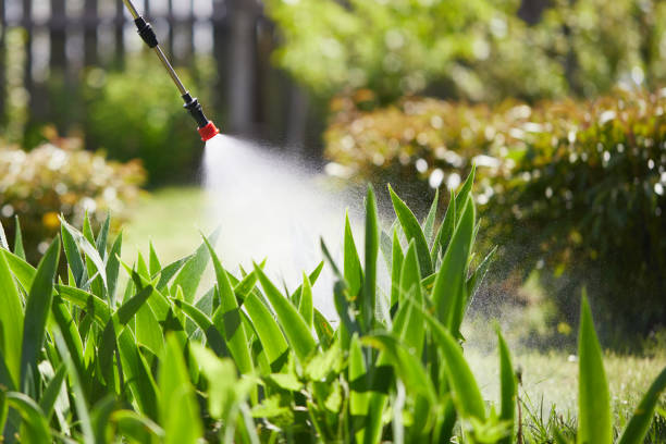 24/7 Emergency Ant Control experts in Gervais, OR