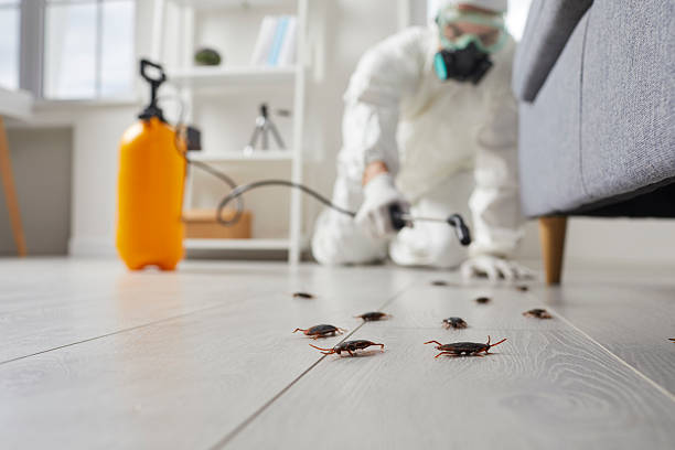 Trusted Cockroach Control service in Gervais, OR - Nex Pest Control