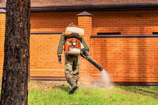 Trusted Ant Control service in Gervais, OR - Nex Pest Control